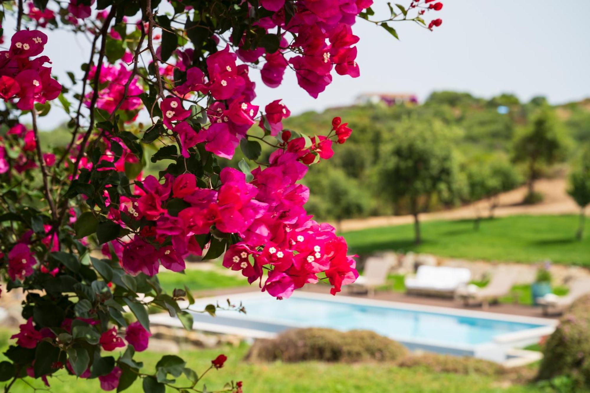 Holiday home North Sardinia Retreats Stazzo Liccia Barria - Con Piscina *